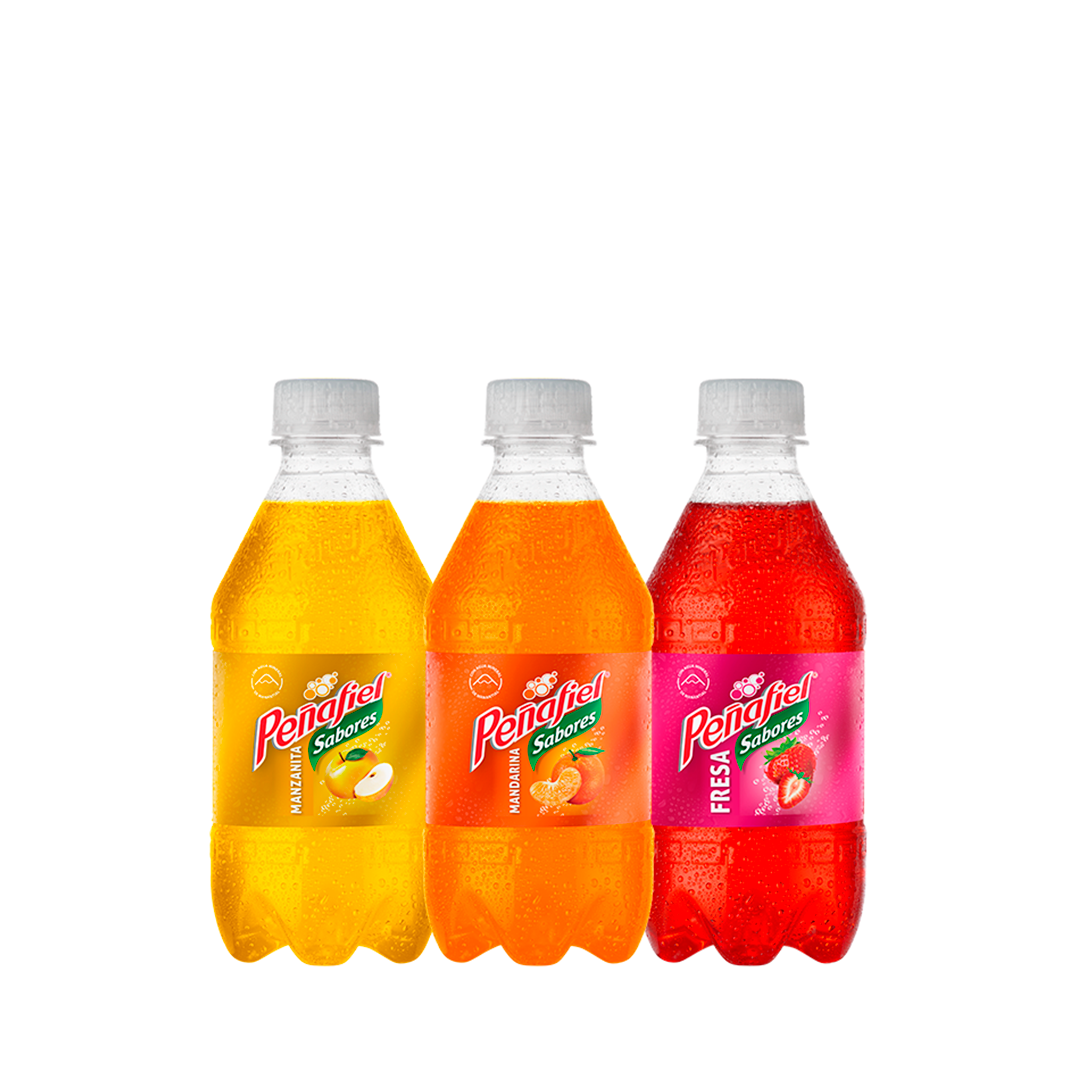 PEÑAFIEL SABORES SURTIDO 355ML 24PZS